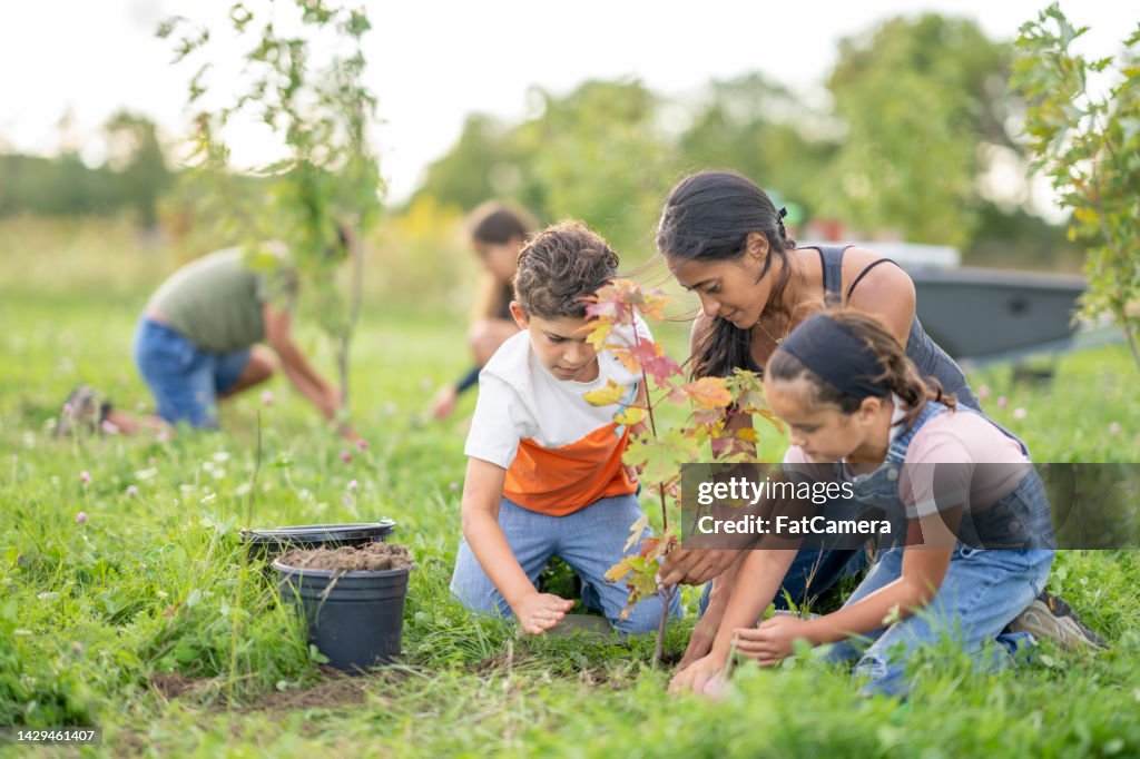 植物を植えるボランティアをする子供たち