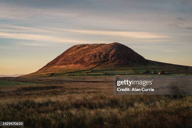 close view of slemish mountain at dusk, at county antrim, northern ireland - sheep ireland stock pictures, royalty-free photos & images