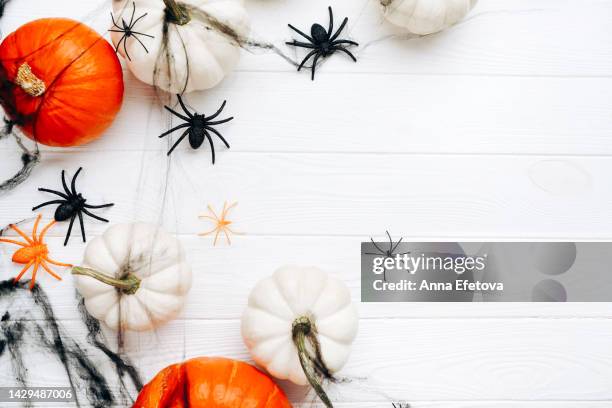 halloween background made with decorative pumpkins, spiders and black spiderweb on white wooden background. festive holiday backdrop with copy space - green spider stock pictures, royalty-free photos & images