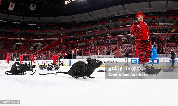 The ice crew collects hundreds of plastic rats after the Florida Panthers defeated the New Jersey Devils in Game Two of the Eastern Conference...