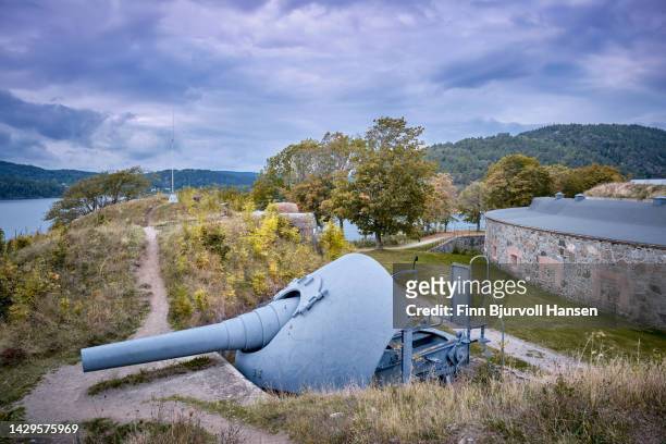 old canon at oscarsborg fortress in norway - finn bjurvoll stock pictures, royalty-free photos & images