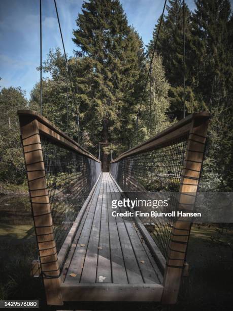 suspension bridge crossing a river in the forest - finn bjurvoll stock pictures, royalty-free photos & images