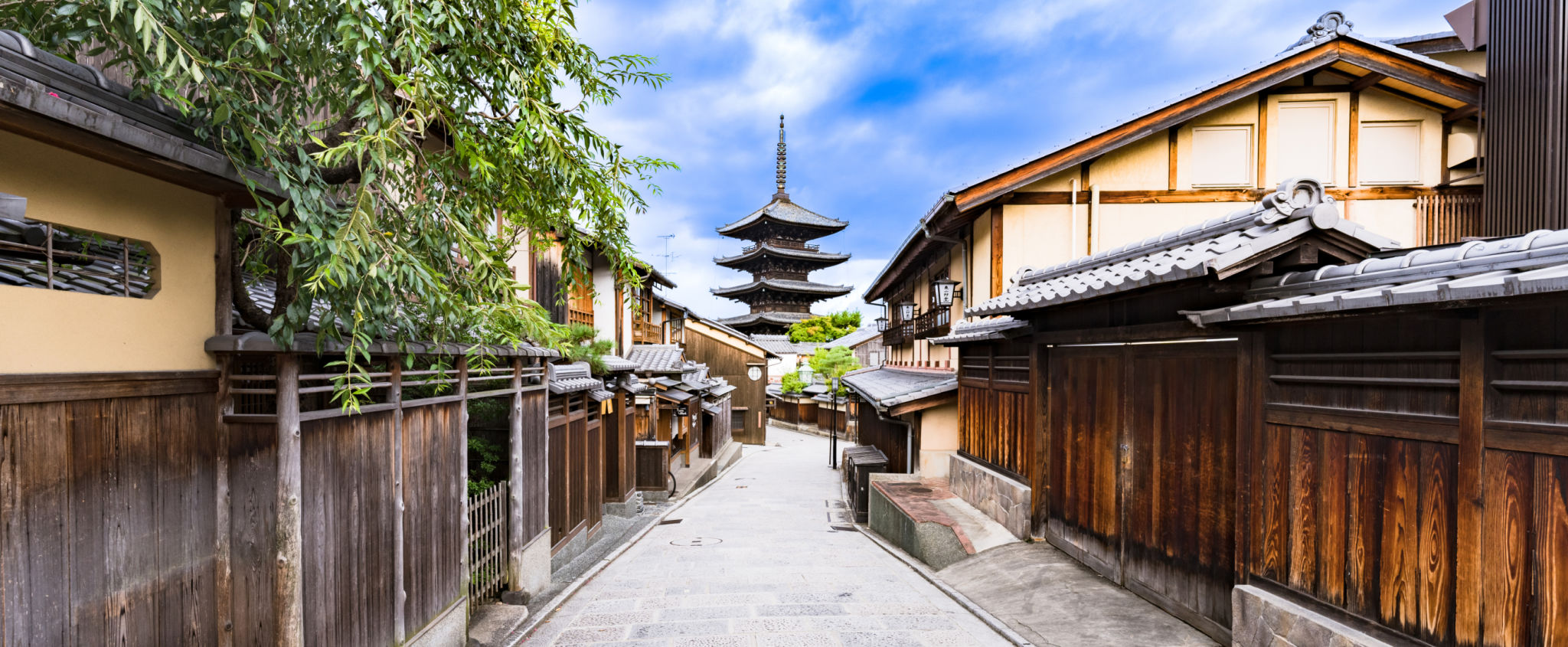 kyoto culture