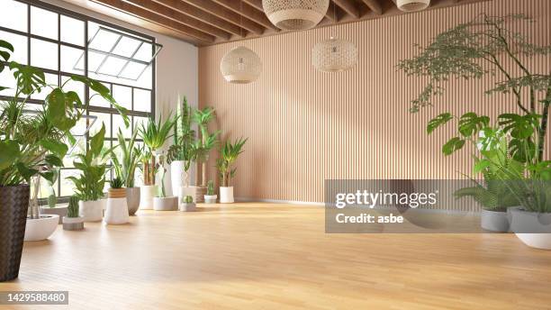 empty cozy living room with green plants - bamboo plant stock pictures, royalty-free photos & images