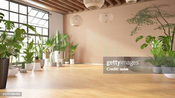 empty cozy living room with green plants - apartamento de cobertura imagens e fotografias de stock