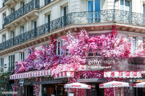 blumen an der café-fassade in paris - rue de rivoli stock-fotos und bilder