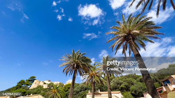 port-cros island - film port stock pictures, royalty-free photos & images