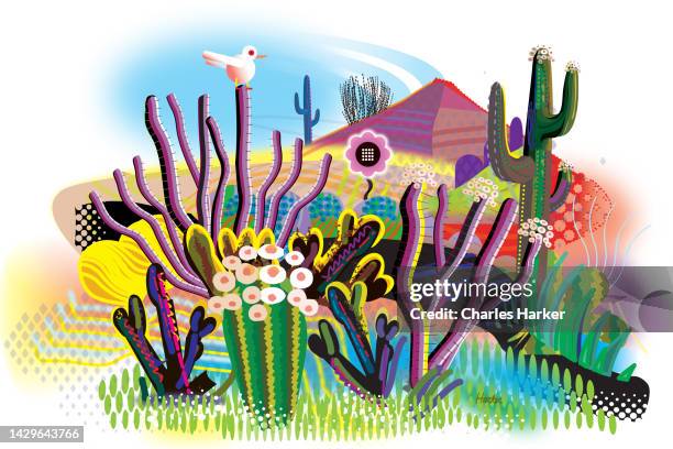 landscape desert garden, saguaro, ocotillo and flowering cactus. digital illustration of white bird perched on a branch. - phoenix bird stockfoto's en -beelden