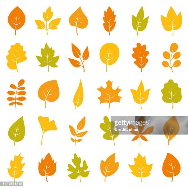 ilustraciones, imágenes clip art, dibujos animados e iconos de stock de conjunto de iconos de hojas de otoño - oak leaf