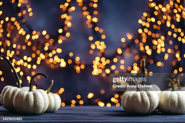 frame of white seasonal pumpkins against festive background with many round illuminating bokeh. thanksgiving day and halloween concept. copy space for your design - laura linney lights the empire state building in honor of red nose day stockfoto's en -beelden