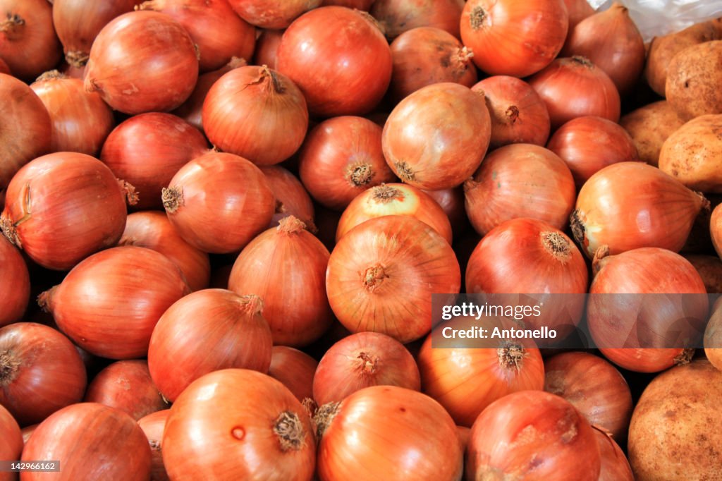 Onion