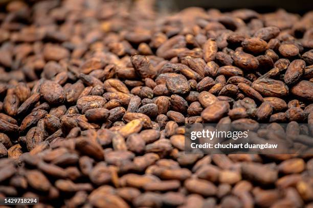 cocoa seeds - bolster stockfoto's en -beelden