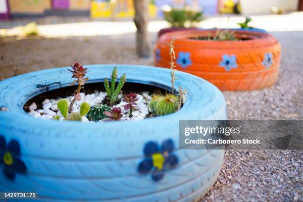 reuse and recycling of tires painted blue and orange and decorated by students, to place plants and decorate the schoolyard. - rubber imagens e fotografias de stock