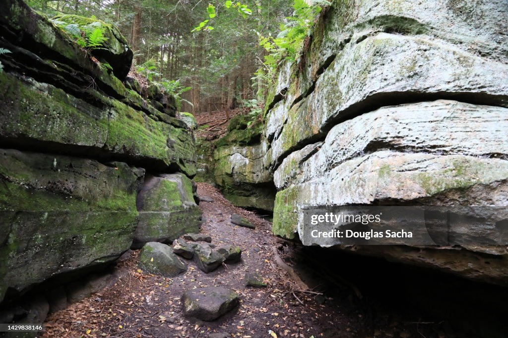 Ledges Trail at Cuyahoga Valley National