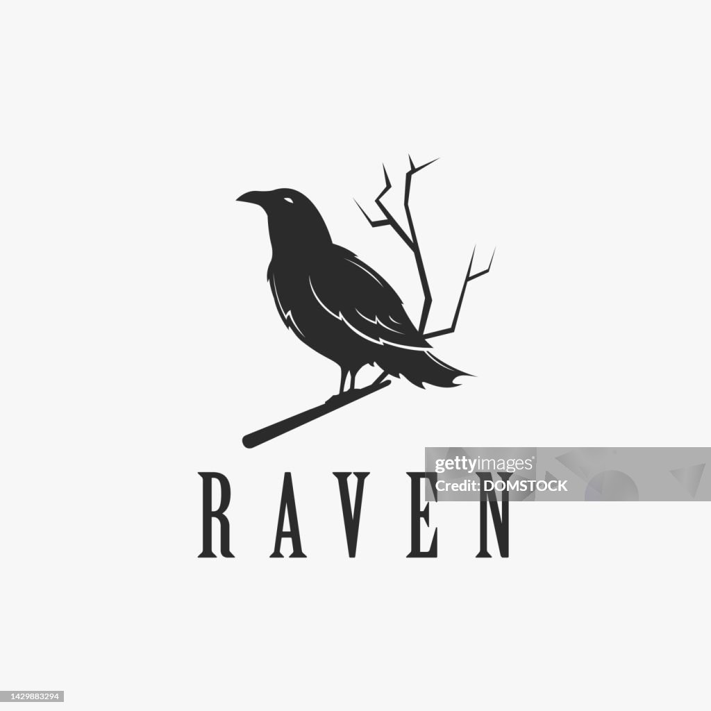 Black Raven Logo Hanging On Dead Tree Branch Design Vector On White ...