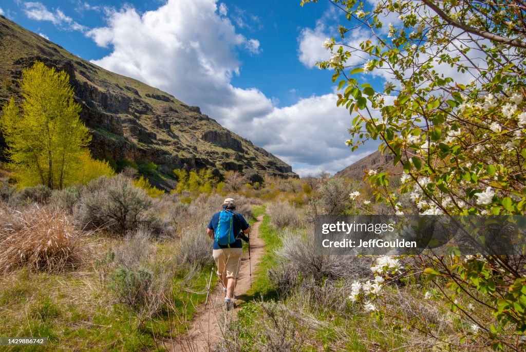 Hiker in Umtanum Creek Canyon