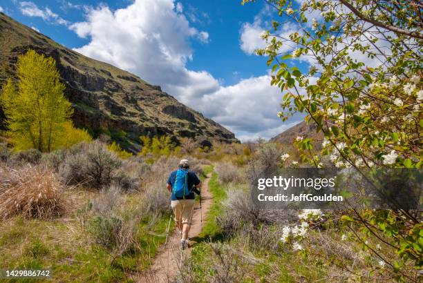 Hiker In Umtanum Creek Canyon High-Res Stock Photo