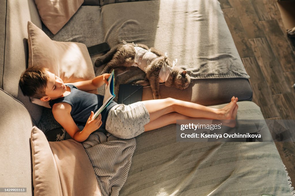 Child reading book. Kids read books. Little boy sitting on white couch in sunny living room watching pictures in story book. Kid doing homework for elementary school or kindergarten. Children study.