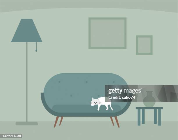 cat lying on sofa - picture frames on shelf stock illustrations