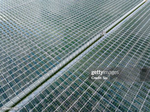 gewächshaus für den anbau von gemüse luftaufnahme von oben - greenhouse gas stock-fotos und bilder