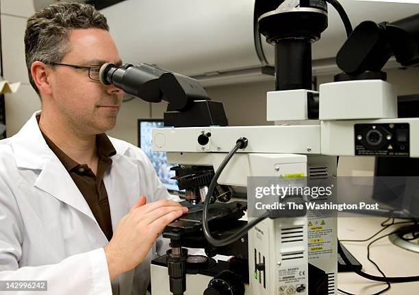 Pathologist Image Pathologist Microscope Photos and Premium High Res Pictures - Getty Images