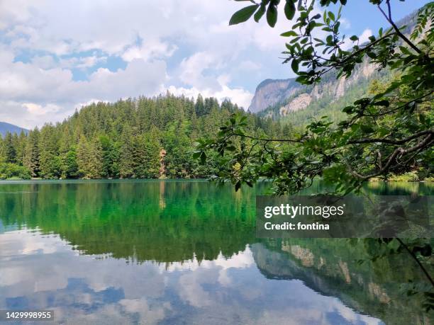 alpine lake tovel – trentino alto adige, dolomites – italy - lakeshore stock pictures, royalty-free photos & images