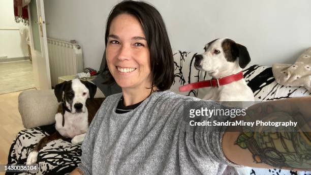 woman 30s short dark hair with tattoo on her arm taking selfie with two boxer dogs, selfie, looking at the camera on the sofa in the living room, daily life of a pet sitter - osminkad bildbanksfoton och bilder