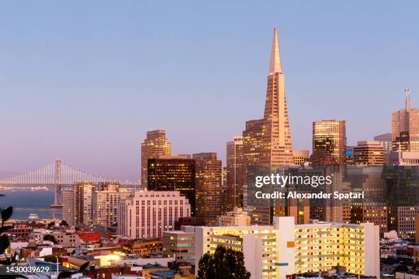 san francisco financial district skyscrapers illuminated at dusk, california, usa - transamerica pyramid san francisco stock-fotos und bilder