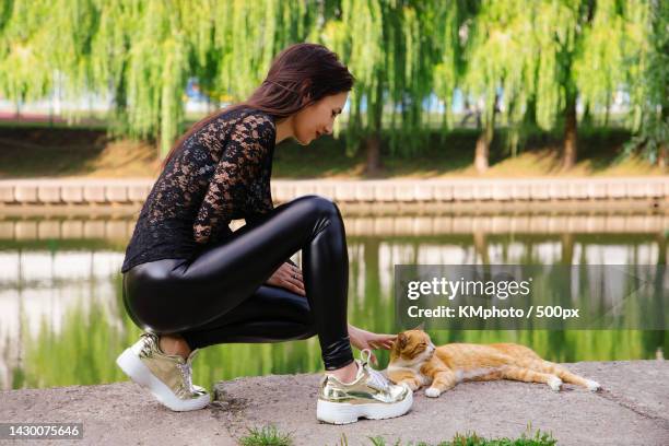 brunette wearing black top,leggings golden sneakers kneels and pets cat,near canal kmphoto - kmphoto stock pictures, royalty-free photos & images