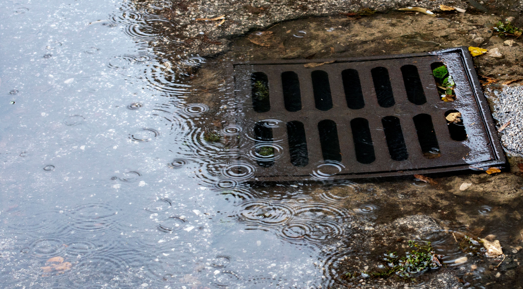 seasonal drain issues