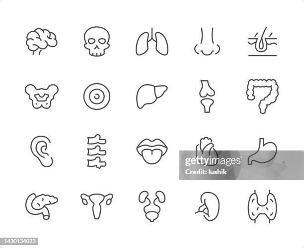 internal organ icon set. editable stroke weight. pixel perfect icons. - human nose stock illustrations