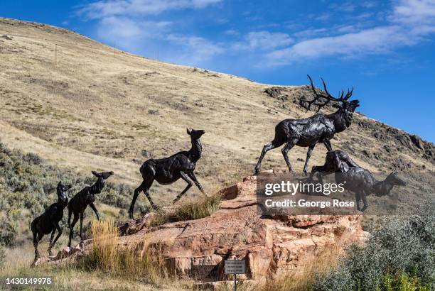 Lifesize sculpture of elk is on display near the entrance to the National Museum of Wildlife, located on a hillside overlooking the National Elk...