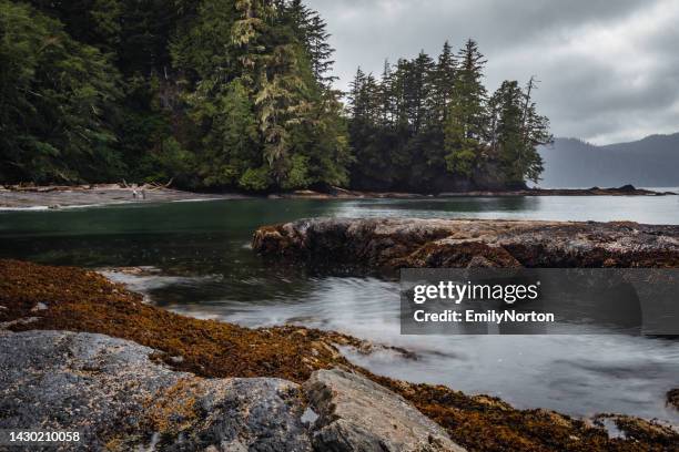 vancouver island coastline - pacific northwest stockfoto's en -beelden