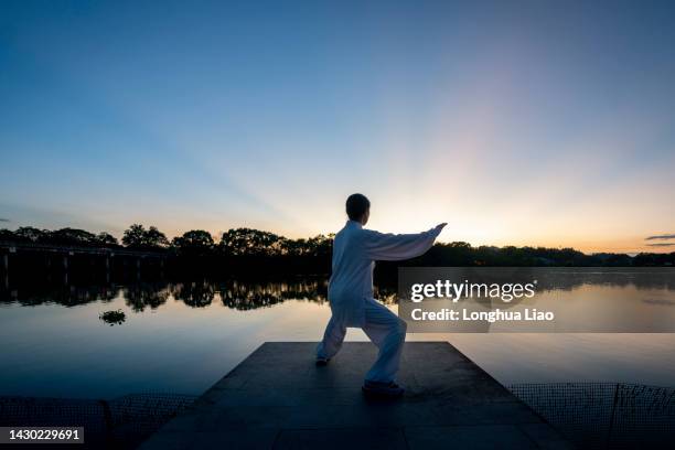 an asian woman practises tai chi by the lake - arts martiaux stock pictures, royalty-free photos & images