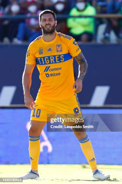 Andre-pierre Gignac of Tigres UANL looks on during the 17th round match between Atletico San Luis and Tigres UANL as part of the Torneo Apertura 2022...