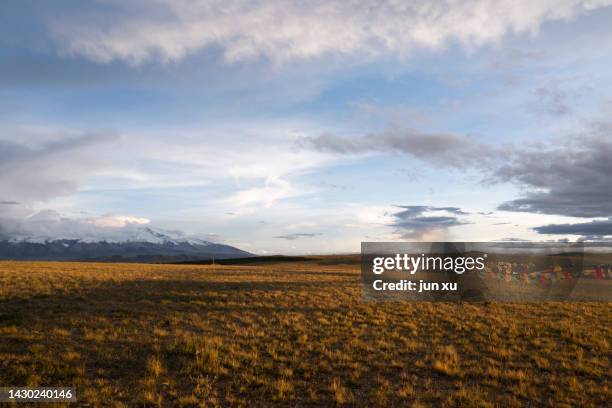 golden scenery of snow-capped mountains on the ali kailash plateau in tibet under the sun - ali mountains stock-fotos und bilder