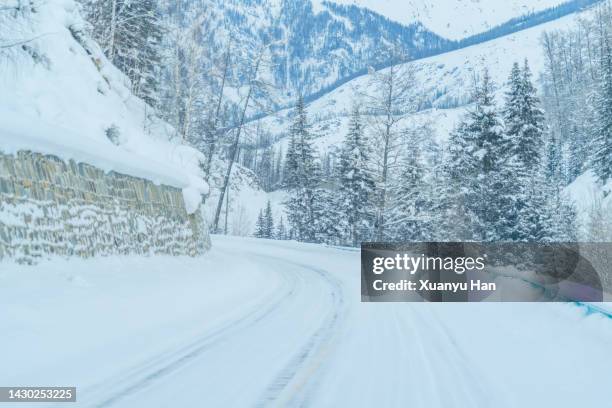 snow covered curved road - bare trees on snowfield stock pictures, royalty-free photos & images