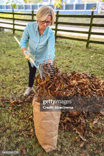 frau, die gefallenes herbstlaub im hof sammelt - collection automne stock-fotos und bilder