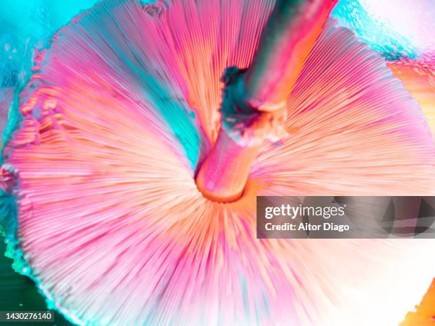 creative image of an hallucinogenic mushroom. - mushrooms stock pictures, royalty-free photos & images