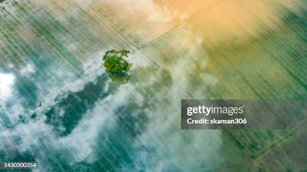 drone aerial view of flooded highways roads, railroads, and residences in a settlement in an urban environment.climate extremes and natural disasters - extreme weather farm stock pictures, royalty-free photos & images