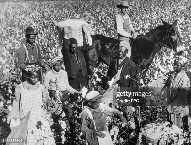 Group of enslaved workers on a cotton plantation watched by a supervisor on horseback, near Dallas, Texas, circa 1895.