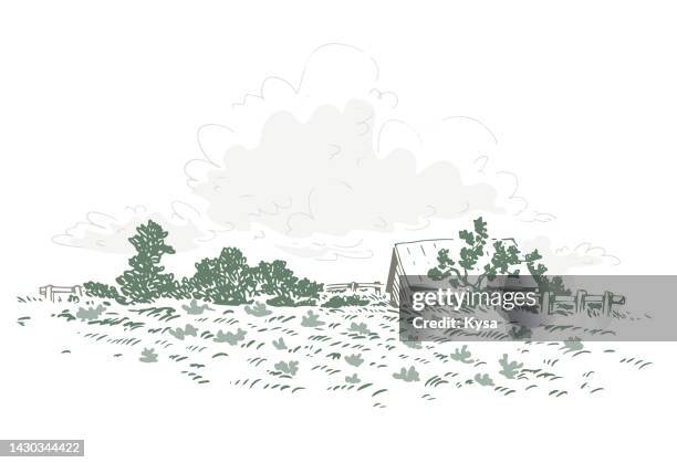 autumn vegetables garden sketch - vegetable garden vector stock illustrations