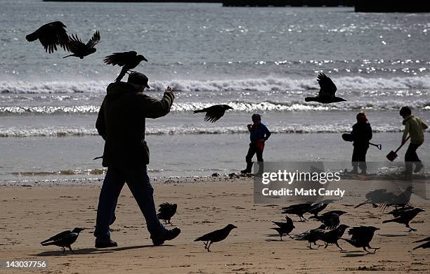 Man feeds birds as he walks along the seafront of Weymouth Bay, which will be the venue for the London 2012 Olympic and Paralympic Sailing...