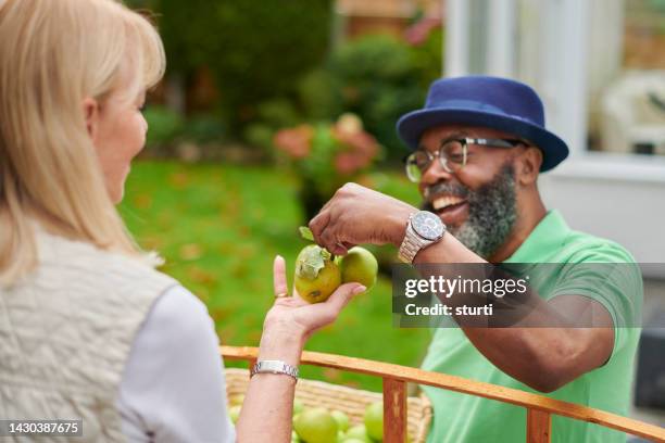 locally sourced apples - sharing economy stockfoto's en -beelden