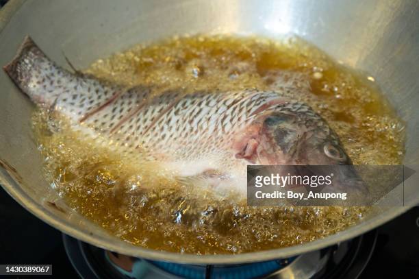 tilapia fish frying in hot oil. tilapia is a tasty fish that's loaded with protein and other nutrients. - broiling stock pictures, royalty-free photos & images