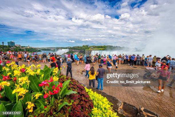 many people looking to the niagara falls in canada - niagara river stockfoto's en -beelden