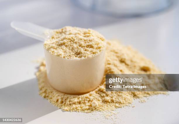 cup of protein powder on white table - powder foto e immagini stock