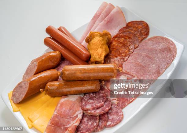 plate filled with unhealthy processed meats and cheese - verarbeitetes fleisch stock-fotos und bilder