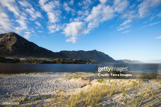 south africa, hermanus, klein mountains and lagoon on grotto beach - hermanus bildbanksfoton och bilder