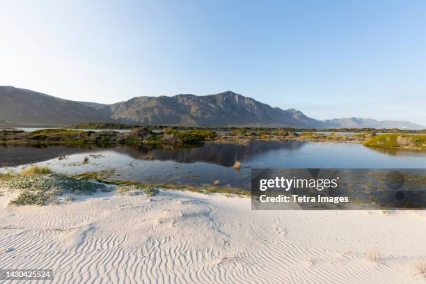 south africa, hermanus, sand and lagoon in grotto beach - hermanus stock-fotos und bilder